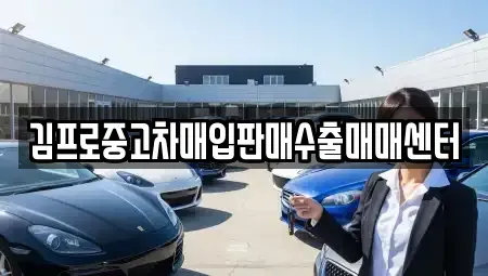 경상남도 창원시 마산합포구 중앙동3가 중고차매입 전문 김프로중고차매입판매수출매매센터