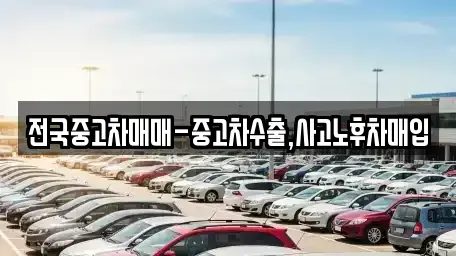 경상남도 창원시 마산합포구 중앙동3가 중고차매입 전문 전국중고차매매-중고차수출,사고노후차매입
