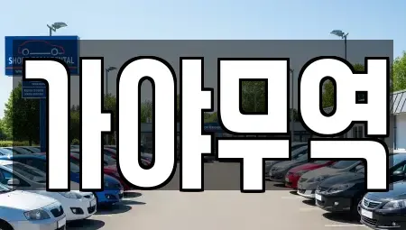 경상남도 창원시 성산구 내동 중고차 전문 가야무역