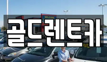경상남도 창원시 의창구 사림동 렌트카 전문 골드렌트카
