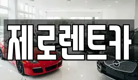 경상남도 창원시 의창구 사림동 장기렌트카 전문 제로렌트카