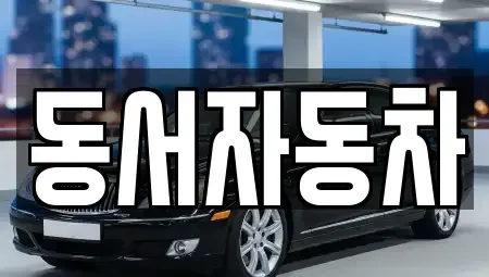 경상남도 창원시 의창구 사림동 중고차 전문 동서자동차