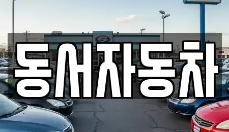 경상남도 통영시 중앙동 중고차 전문 동서자동차