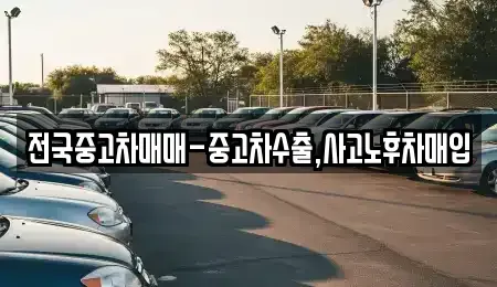 경상남도 통영시 중앙동 중고차 전문 전국중고차매매-중고차수출,사고노후차매입
