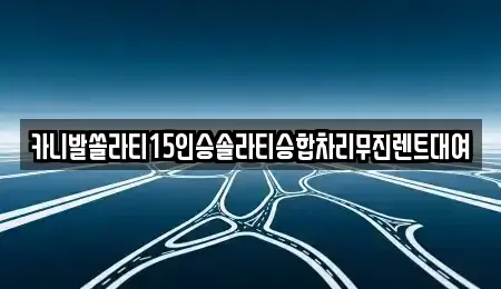 경상북도 경산시 사정동 렌트카 전문 카니발쏠라티15인승솔라티승합차리무진렌트대여