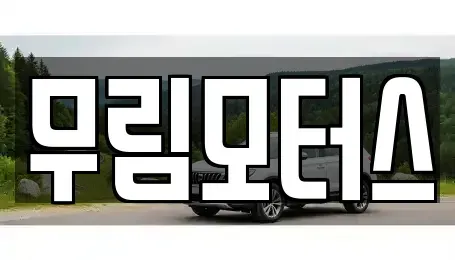 경상북도 경산시 사정동 중고차 전문 무림모터스