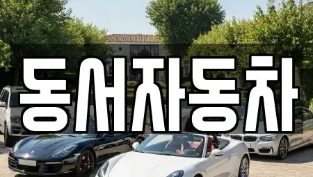 경상북도 경산시 사정동 중고차매매 전문 동서자동차