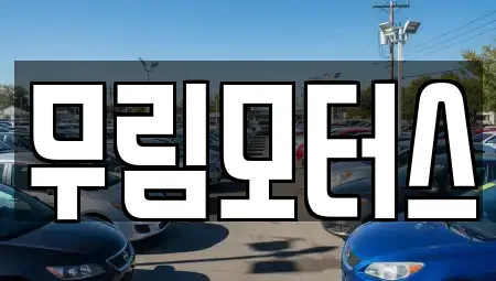 경상북도 경산시 사정동 중고차매매 전문 무림모터스