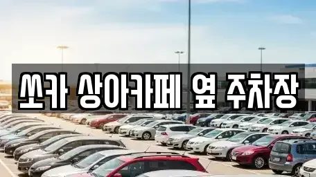 경상북도 경주시 노서동 렌트카 전문 쏘카 상아카페 옆 주차장