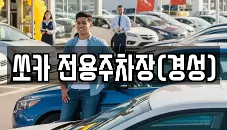 경상북도 경주시 노서동 렌트카 전문 쏘카 전용주차장(경성)