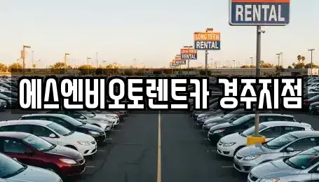 경상북도 경주시 노서동 렌트카 전문 에스엔비오토렌트카 경주지점