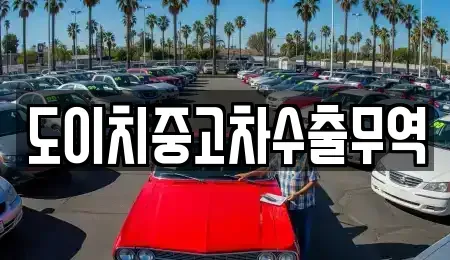 경상북도 경주시 노서동 중고차 전문 도이치중고차수출무역