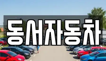 경상북도 경주시 노서동 중고차 전문 동서자동차