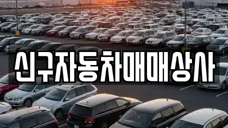 경상북도 경주시 노서동 중고차 전문 신구자동차매매상사