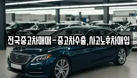 경상북도 경주시 노서동 중고차 전문 전국중고차매매-중고차수출,사고노후차매입