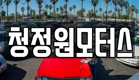 경상북도 경주시 노서동 중고차 전문 청정원모터스