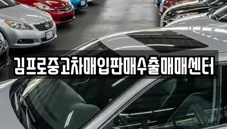 경상북도 경주시 노서동 중고차매입 전문 김프로중고차매입판매수출매매센터