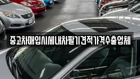 경상북도 경주시 노서동 중고차매입 전문 중고차매입시세내차팔기견적가격수출업체
