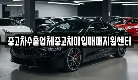 경상북도 경주시 노서동 중고차매입 전문 중고차수출업체중고차매입매매지원센터