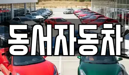 경상북도 경주시 사정동 중고차 전문 동서자동차