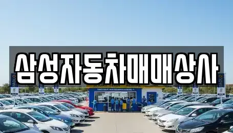 경상북도 구미시 선기동 중고차매매 전문 삼성자동차매매상사