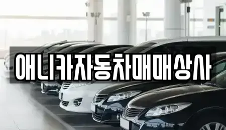 경상북도 구미시 선기동 중고차매매 전문 애니카자동차매매상사