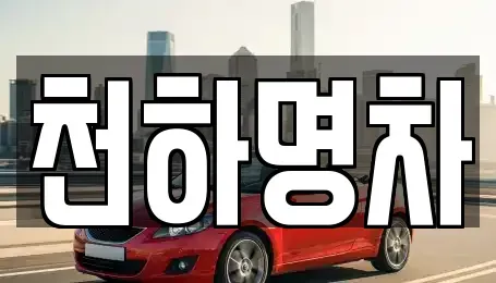 경상북도 구미시 선기동 중고차매입 전문 천하명차
