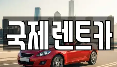 경상북도 구미시 신평동 렌트카 전문 국제렌트카