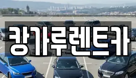 경상북도 구미시 신평동 렌트카 전문 캉가루렌트카