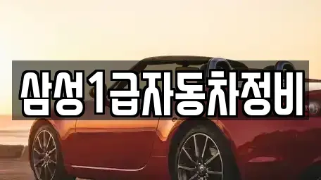 경상북도 김천시 봉산면 렌트카 전문 삼성1급자동차정비