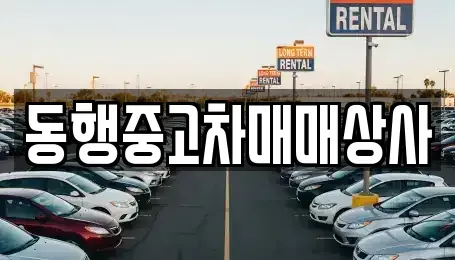 경상북도 안동시 운안동 중고차매매 전문 동행중고차매매상사
