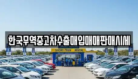 경상북도 안동시 운안동 중고차매매 전문 한국무역중고차수출매입매매판매시세