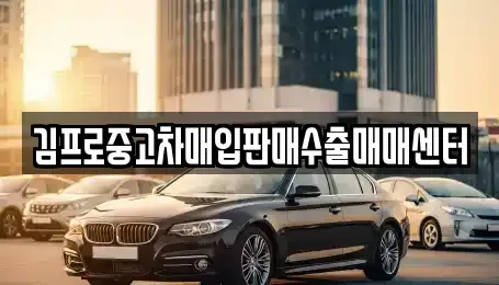 경상북도 안동시 운안동 중고차매입 전문 김프로중고차매입판매수출매매센터