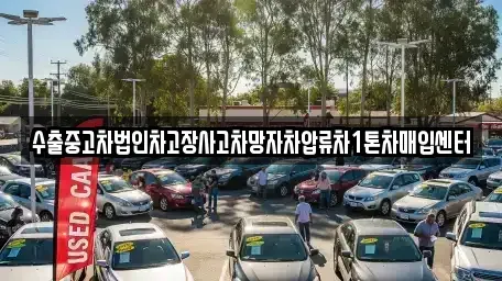 경상북도 영덕군 강구면 중고차매매 전문 수출중고차법인차고장사고차망자차압류차1톤차매입센터