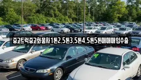 경상북도 영천시 신녕면 중고차 전문 중고트럭중고화물차1톤2.5톤3.5톤4.5톤5톤매매매입수출