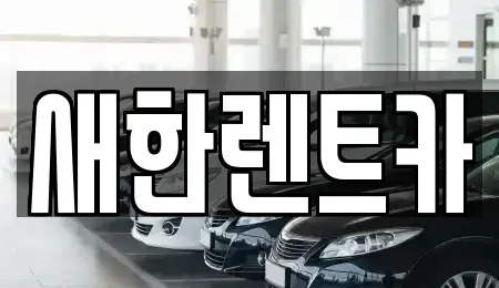 경상북도 영천시 완산동 렌트카 전문 새한렌트카