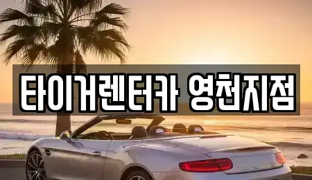 경상북도 영천시 완산동 렌트카 전문 타이거렌터카 영천지점