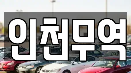 경상북도 영천시 완산동 중고차매매 전문 인천무역