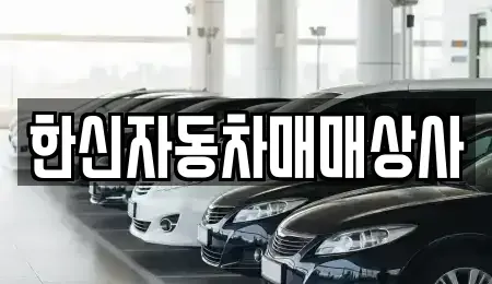 경상북도 영천시 완산동 중고차매매 전문 한신자동차매매상사