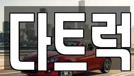 경상북도 영천시 화룡동 중고차매매 전문 다트럭