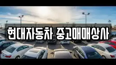 경상북도 영천시 화룡동 중고차매매,단기렌트카,중고차매입,장기렌트카,중고차,렌트카