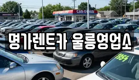 경상북도 울릉군 울릉읍 렌트카 전문 명가렌트카 울릉영업소