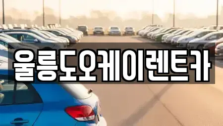 경상북도 울릉군 울릉읍 렌트카 전문 울릉도오케이렌트카
