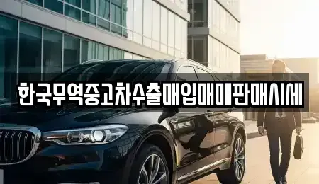 경상북도 울릉군 울릉읍 중고차매매 전문 한국무역중고차수출매입매매판매시세