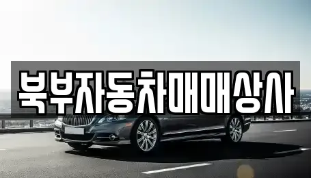 경상북도 의성군 의성읍 중고차매매,단기렌트카,중고차매입,장기렌트카,중고차,렌트카