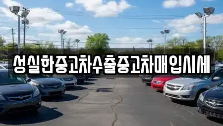 경상북도 의성군 의성읍 중고차매입 전문 성실한중고차수출중고차매입시세