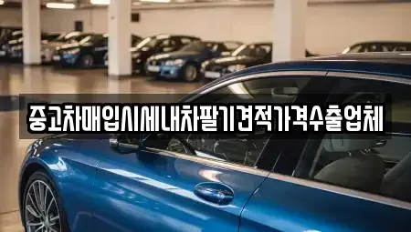 경상북도 의성군 의성읍 중고차매입 전문 중고차매입시세내차팔기견적가격수출업체