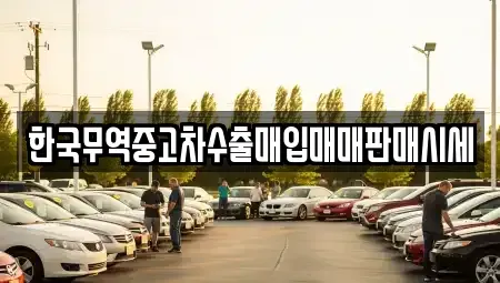 경상북도 의성군 의성읍 중고차매입 전문 한국무역중고차수출매입매매판매시세