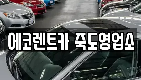 경상북도 포항시 남구 이동 렌트카 전문 에코렌트카 죽도영업소