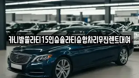 경상북도 포항시 남구 이동 렌트카 전문 카니발쏠라티15인승솔라티승합차리무진렌트대여
